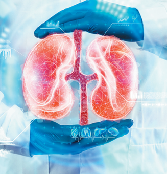 A kit for the early detection of kidney injury.