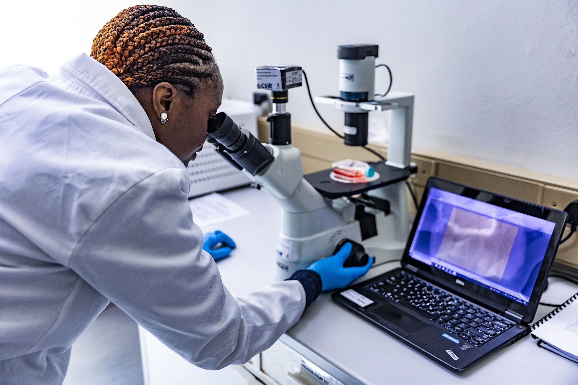 Scientist looking through microscope