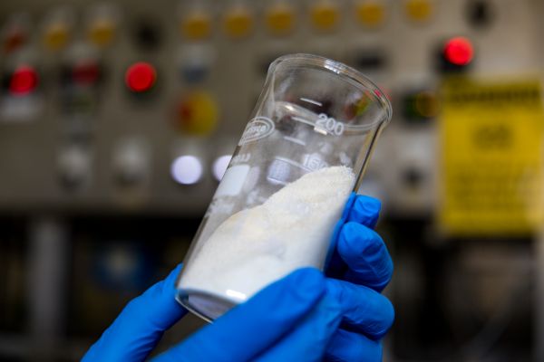 wound healing powder