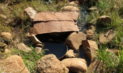 A spring at the Thukela catchement