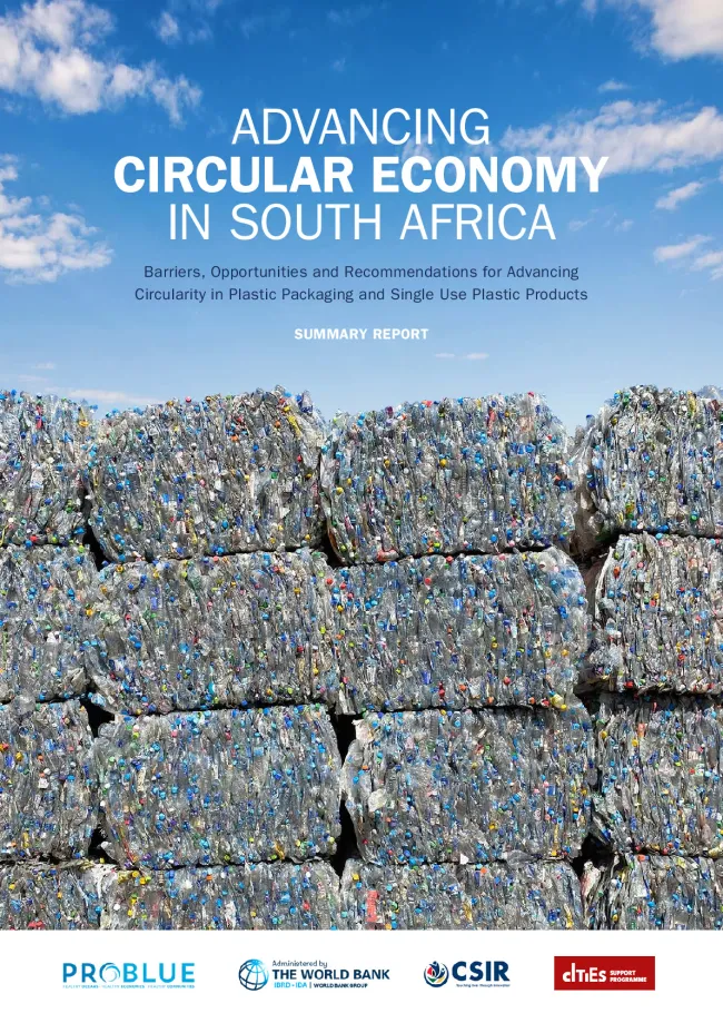 Advancing Circular Economy in South Afrcia_ SUMMARY REPORT.pdf