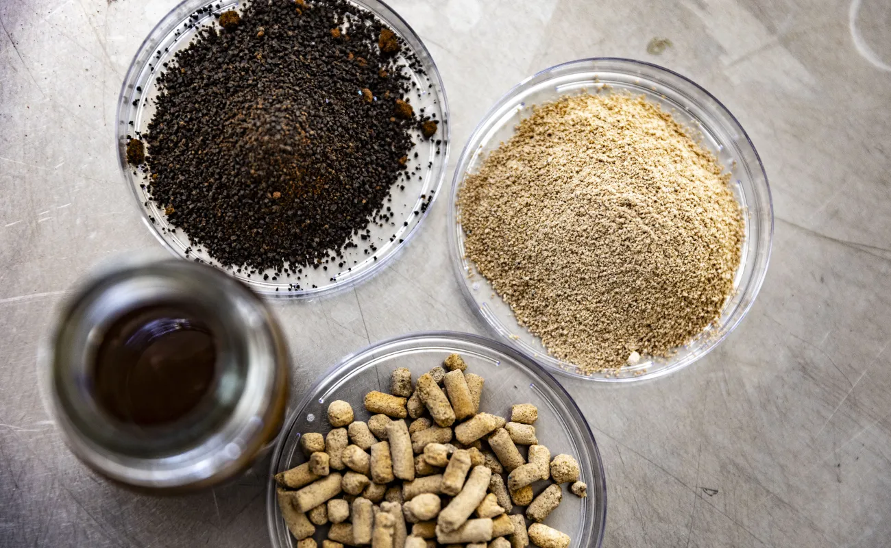 CSIR develops protein for commercial fishing industry