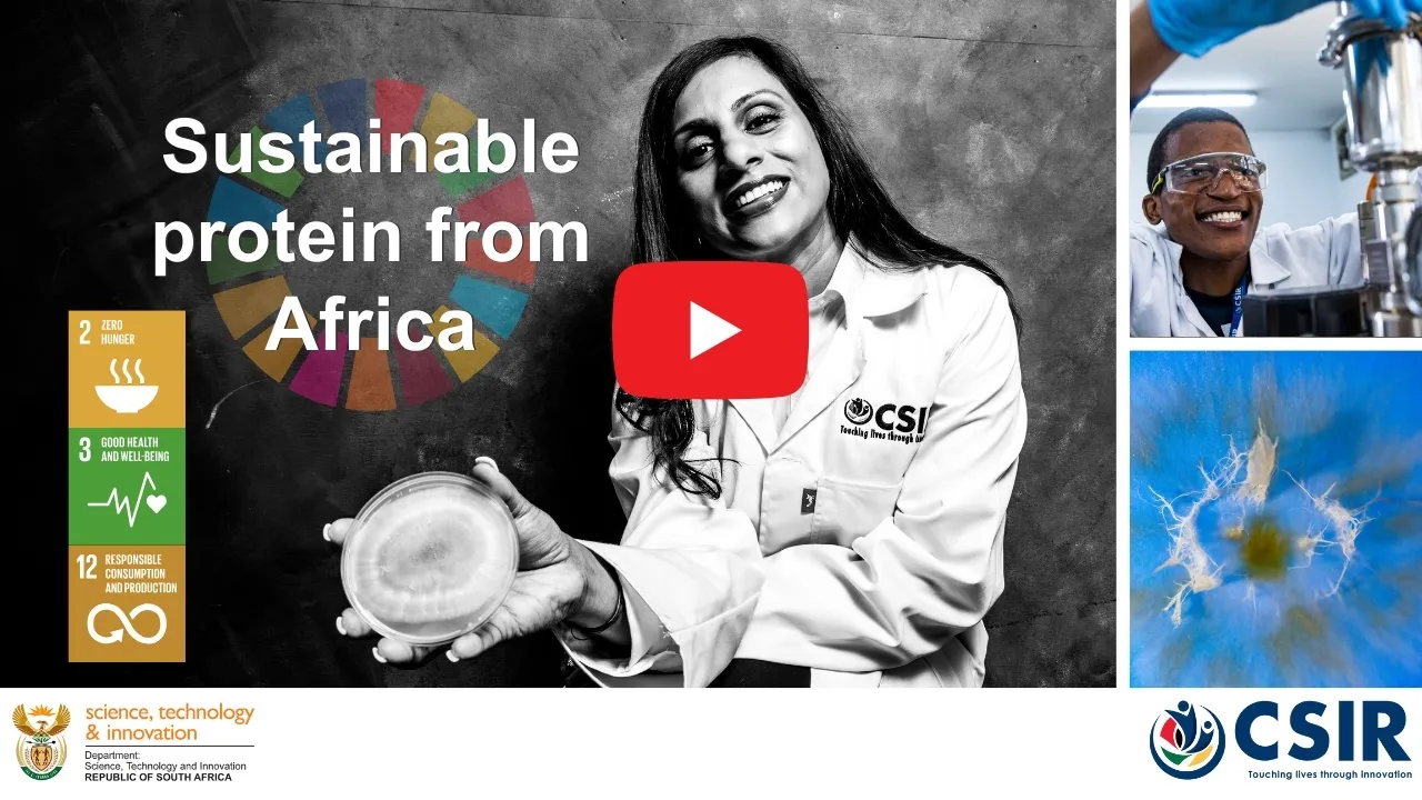 Fungal protein for food security