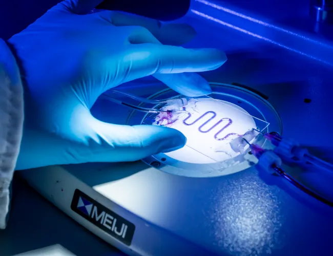 Nano-micro manufacturing facility lab-on-chip node