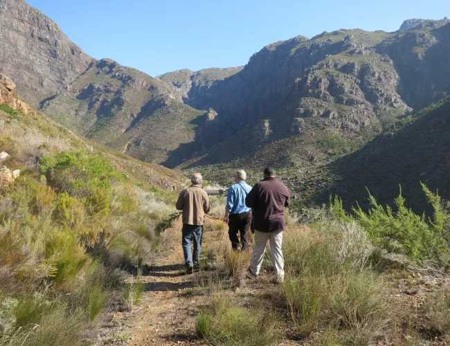 People walking in nature