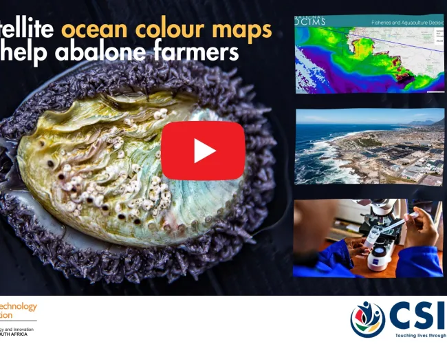 abalone thumb with play