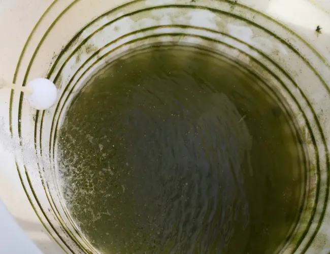 Smart water and wastewater infrastructure