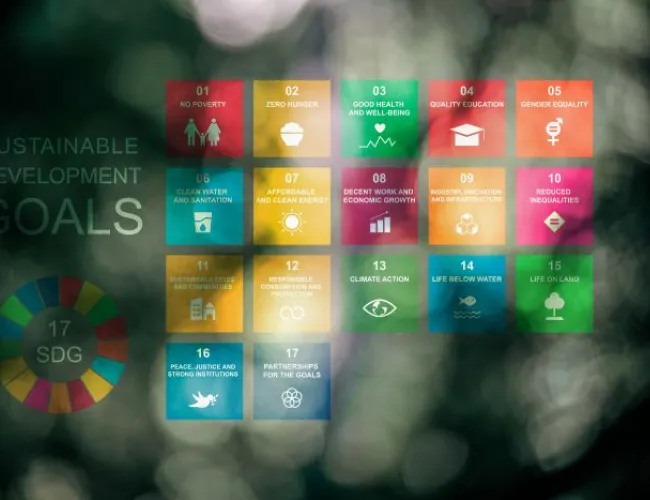 SDGs