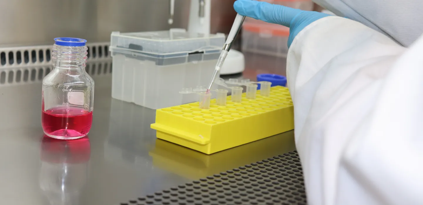 Aquaculture and animal health