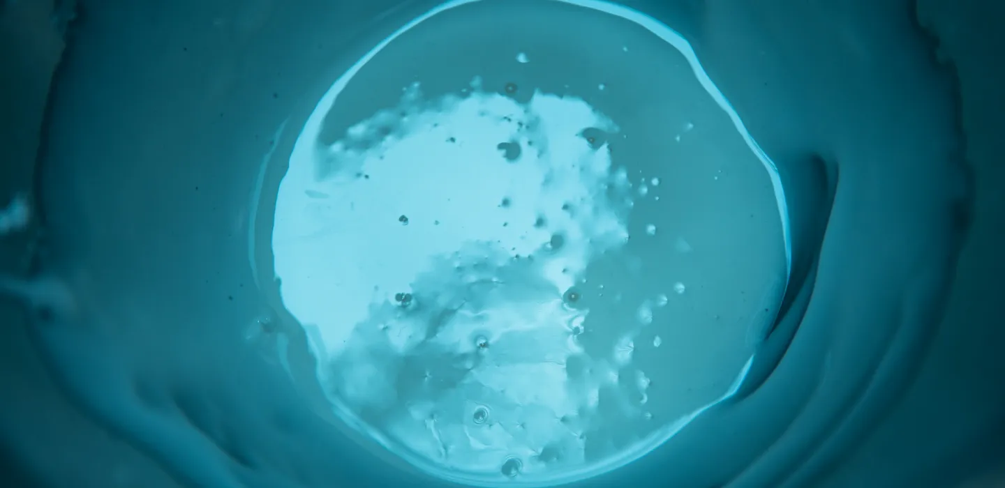 Indigenous knowledge systems