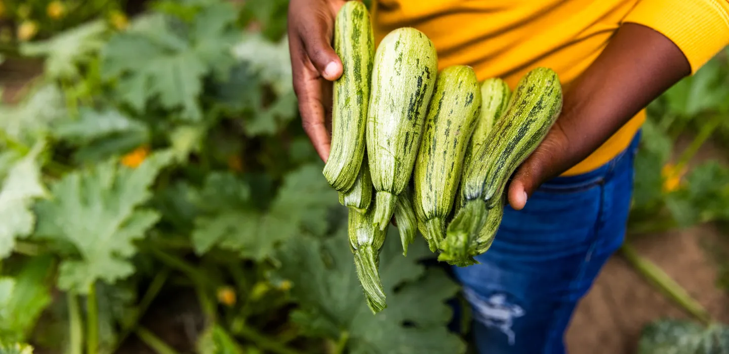 Nutrition and Food Safety