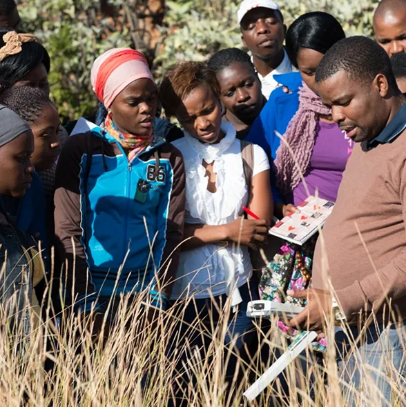 Professor demonstrating to students