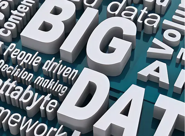 National Integrated Cyber Infrastructure System