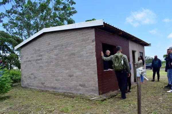 green building materials