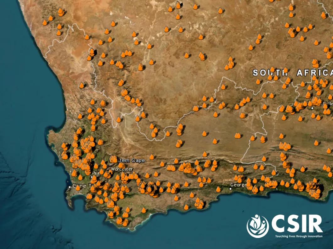 The CSIR Advanced Fire Information System (AFIS) Map Viewer showing MODIS and VIIRS-detected fire activity across the Western Cape province over one month during the fire season (February–March 2026) accessible via AFIS Map Viewert that will enhance landscape resilience and address the impacts of damaging wildfires.