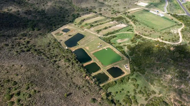 wastewater ponds