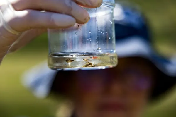 organisms in water