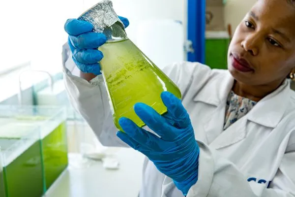 Microbiology lab