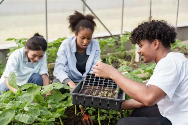 Youth and the circular economy