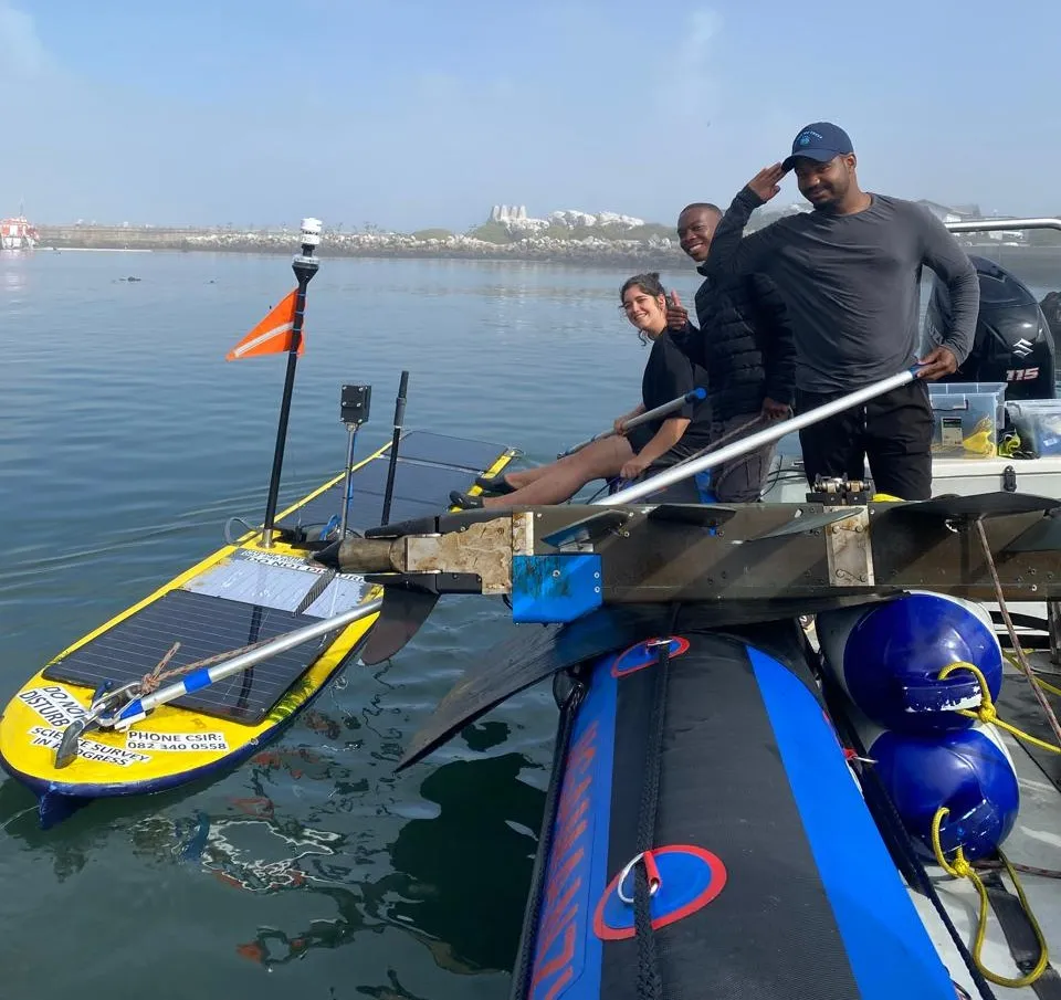 Wave glider in Lamberts Bay